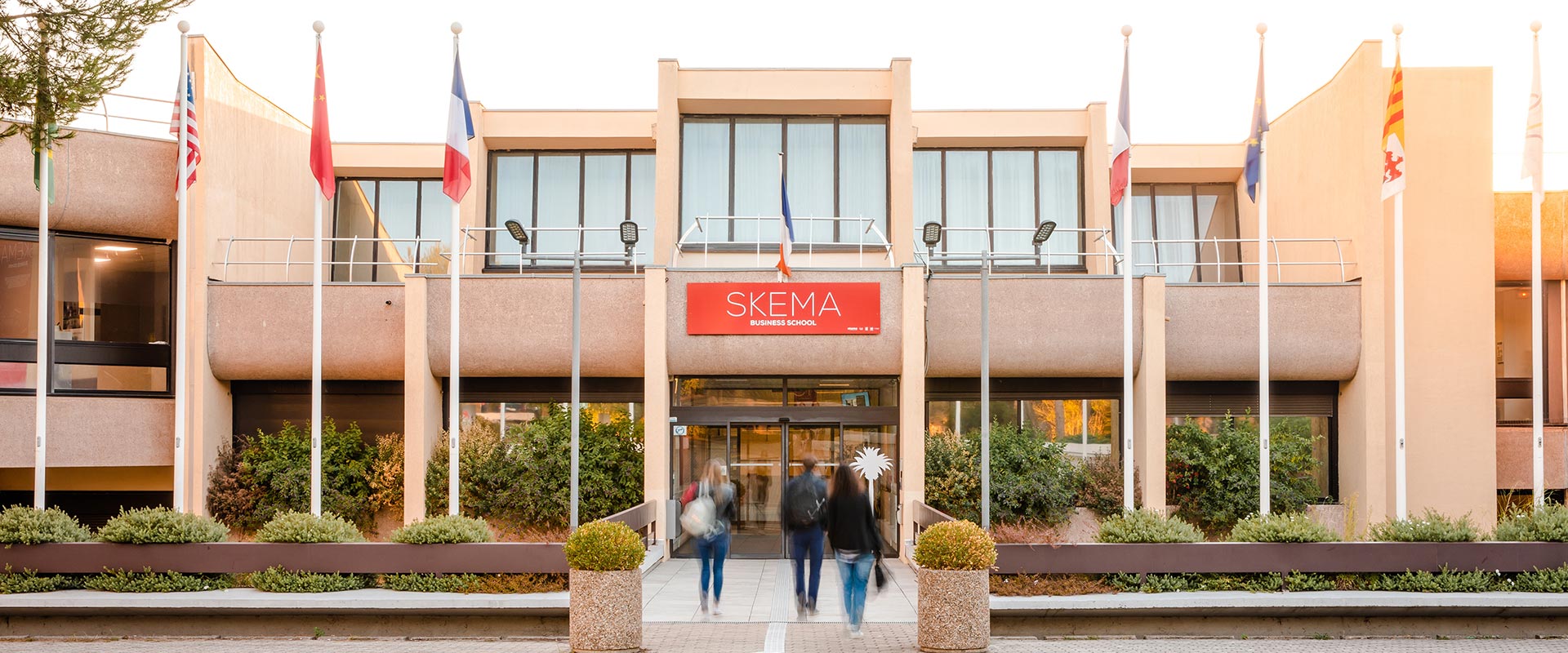 Skema Business School Anciens élèves Célèbres Communauté MCMS Skema Business School Anciens élèves Célèbres Communauté MCMS